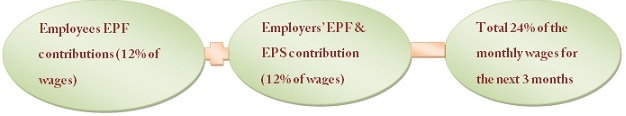 EPF Contribution