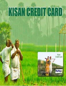 Kisan Credit Card Logo