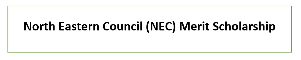 NEC Merit Scholarship Logo