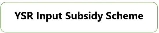 YSR Input Subsidy Scheme logo.
