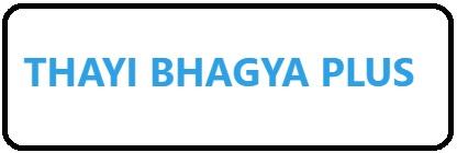 Karnataka Thayi Bhagya Plus Scheme Logo